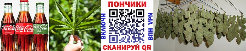 kraken маркетплейс  сколько стоит  Медынь  Cannafood конопля 