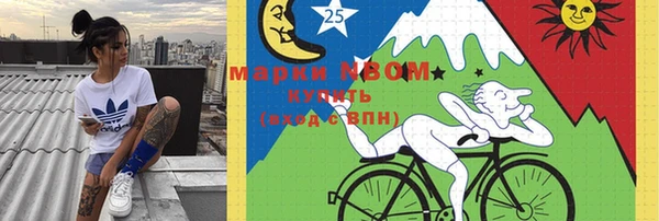 крисы Алексин