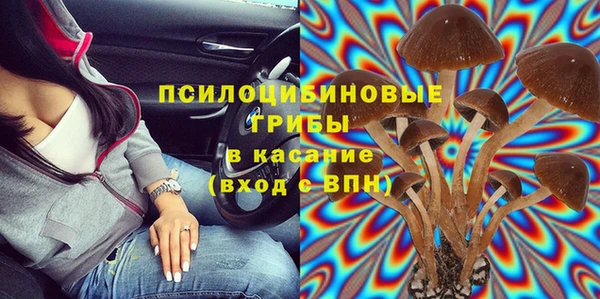 гашик Пестово