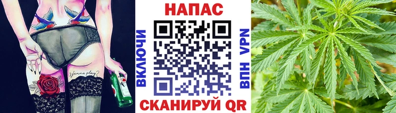 Канабис OG Kush Медынь